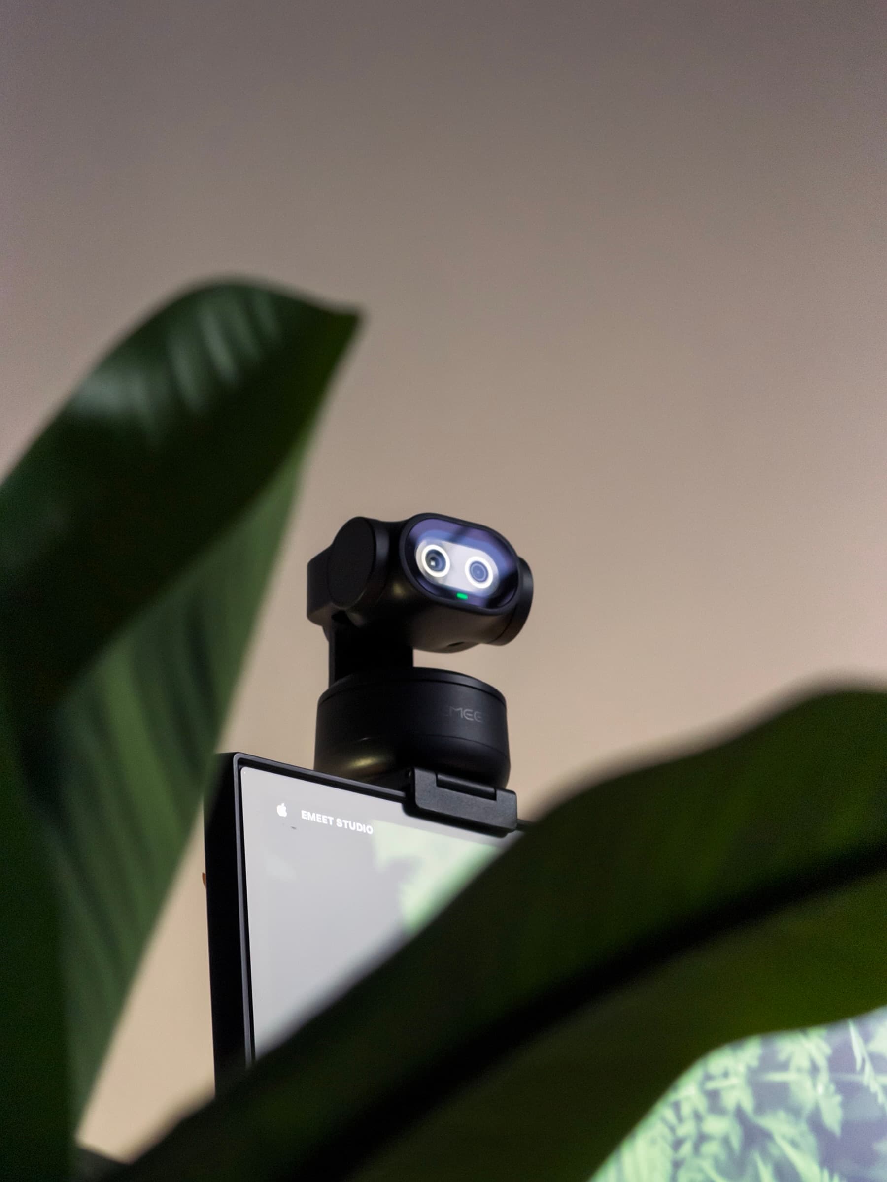 EMEET PIXY on a monitor, framed by out-of-focus plant leaves